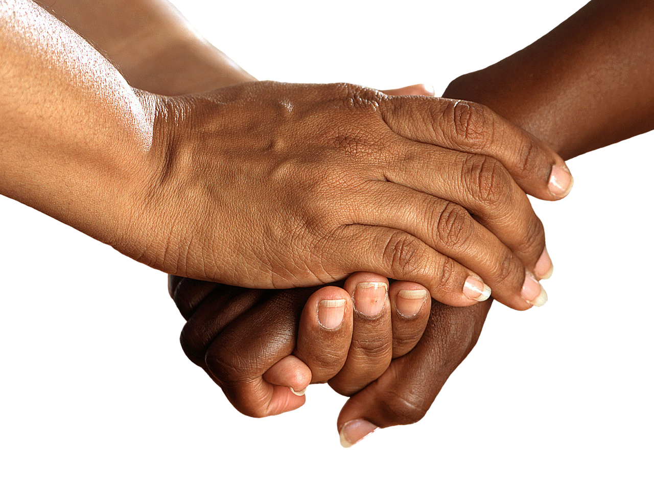 ¿Cómo reconocer a un Siervo Fiel y Prudente