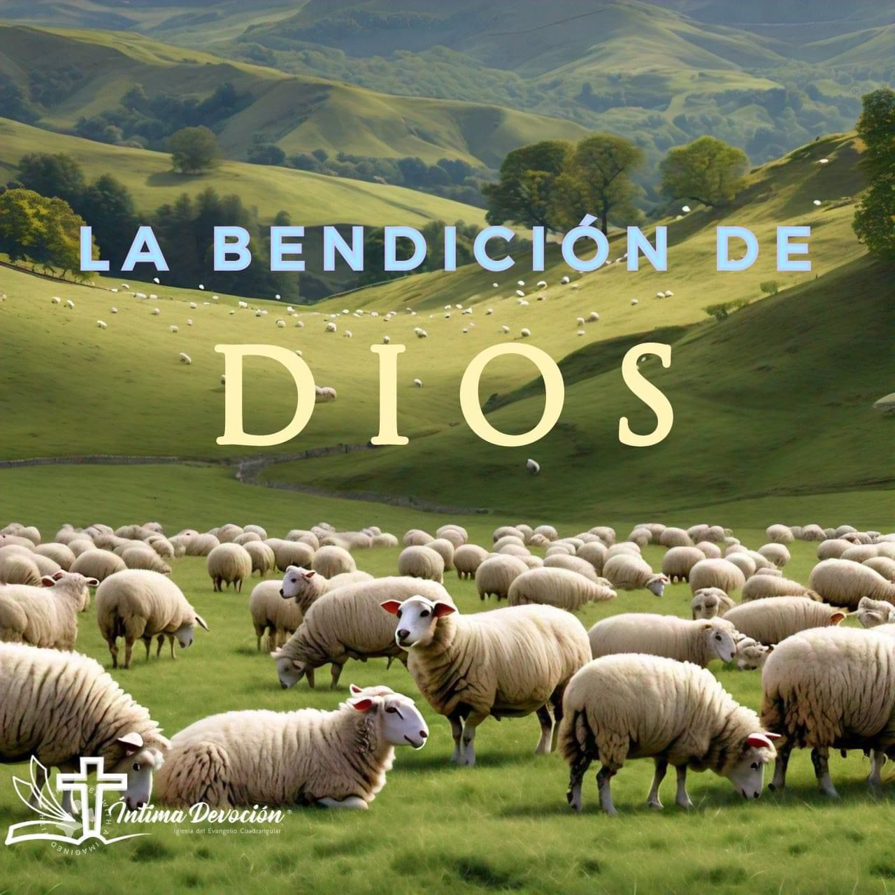 La bendición de Dios: fuente de prosperidad