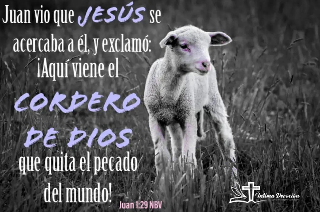 LA PROVISIÓN ETERNA DE DIOS: El Cordero Perfecto - Copy