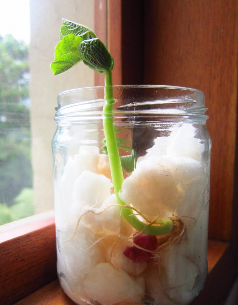 ORA POR TU MATRIMONIO (V)